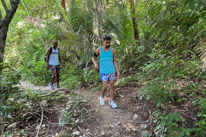 Palo María Waterfalls Hike Half-Day Tour - Price and value: is $89.61 per person a fair deal?