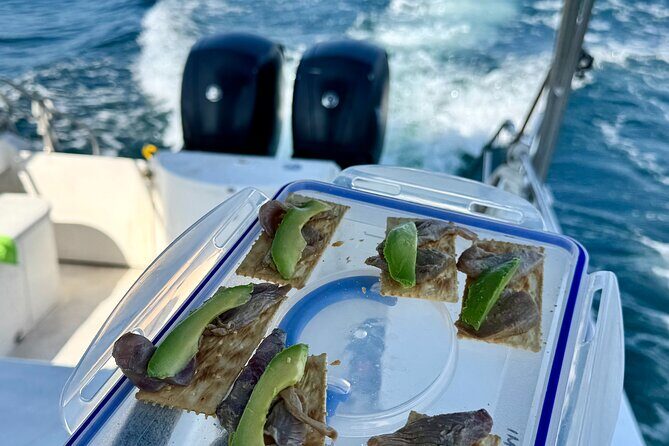 Private 4 Hour Fishing Trip in Puerto Vallarta - Meeting Point at Marina Vallarta: Proa 22 at 7:00 am