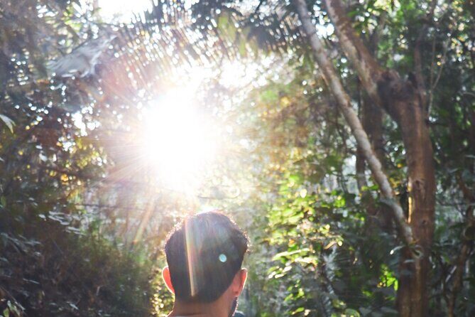 Private 4 hour Hiking Adventure + Breakfast in Nogalito Ecopark - Key things I’d highlight before you go