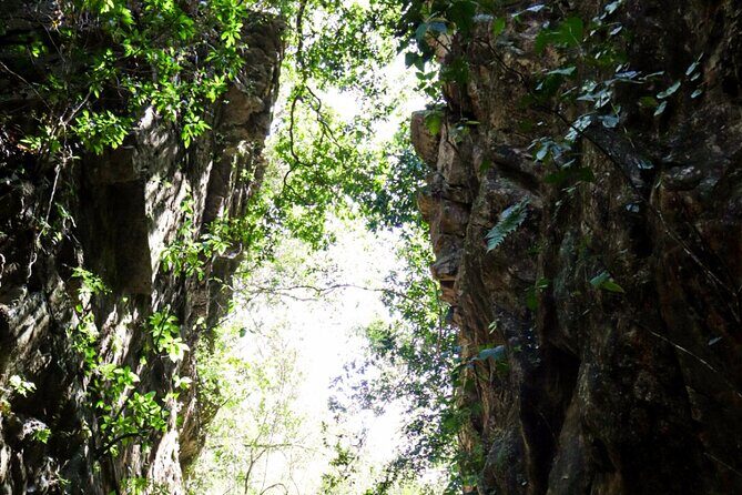 Private 4 hour Hiking Adventure + Breakfast in Nogalito Ecopark - Safety, weather, and what to bring for a smooth 4 hours