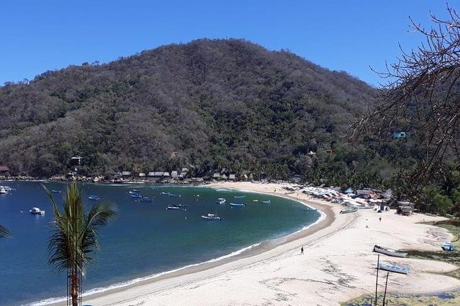 Private Boat Tour to Yelapa - Where your Yelapa boat day really starts: Marina Los Peines