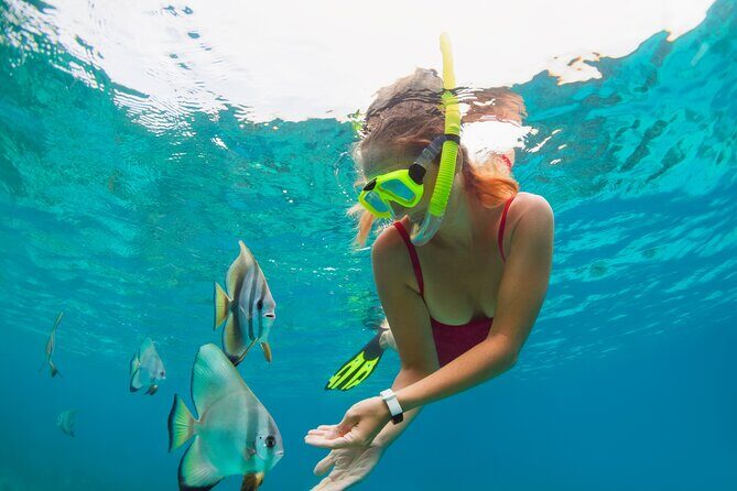Private Boat Tour to Yelapa and Majahuitas Snorkel (up to 7 guests) - Majahuitas snorkel: cleaner time and a calmer feel