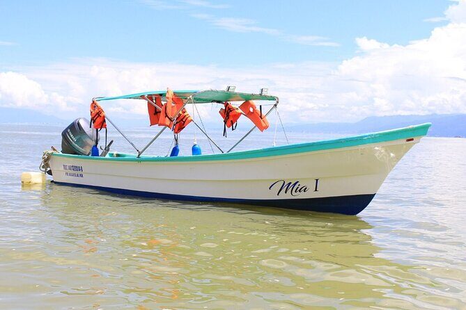 Private Boat Tour to Yelapa and Majahuitas Snorkel (up to 7 guests) - Boat comfort and guide quality: this is where the private value shows