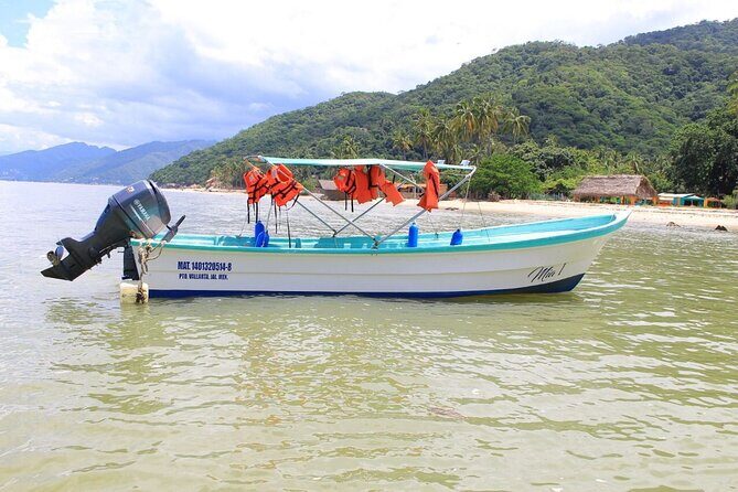 Private Boat Tour to Yelapa and Majahuitas Snorkel (up to 7 guests) - Price and value: what $550 for up to 7 really means