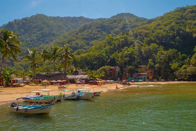 Private Boat Tour to Yelapa with Snorkeling and Waterfall Hike - From Los Muertos Beach Pier at 9:30 am to Playa de los Muertos Views