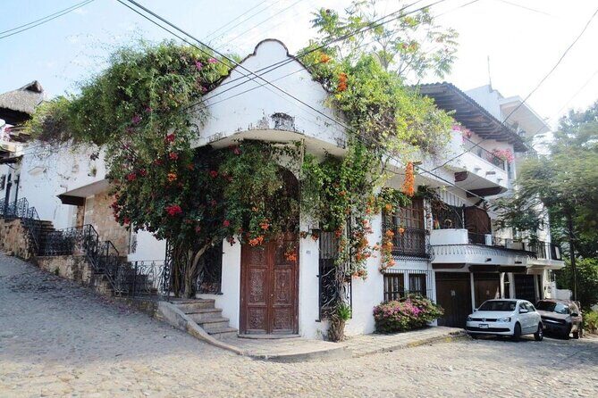 Private City Tour & Rain Forest - Key Highlights You’ll Actually Feel During the Day