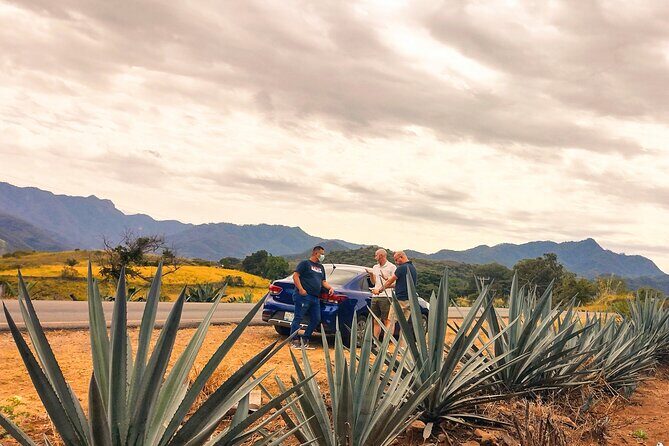 Private day trip to Magical San Sebastián del Oeste. - Coffee Plantation and Factory: The Smell Test You Can’t Fake