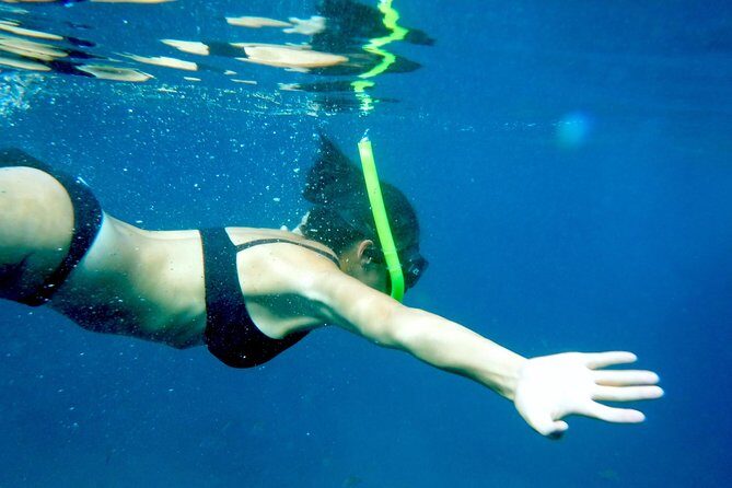 Private Los Arcos Snorkel and Beach Tour from Puerto Vallarta - Key highlights you’ll actually feel on the water