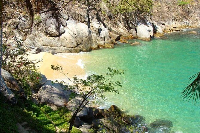 Private Los Arcos Snorkel and Beach Tour from Puerto Vallarta - Getting to the start point: Los Muertos Pier makes it easy
