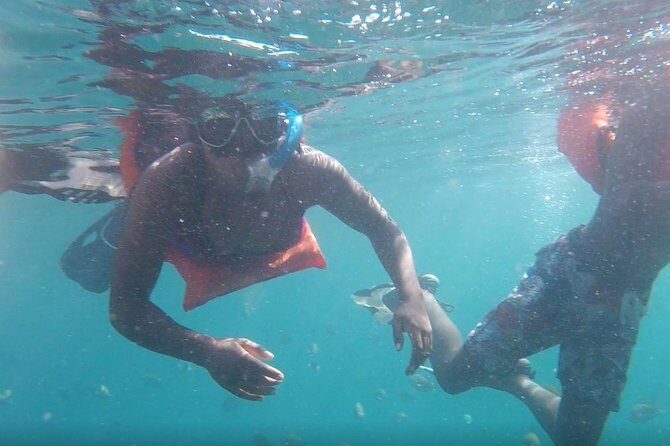 Private Los Arcos snorkeling - The $564.11 group price: where the value really comes from