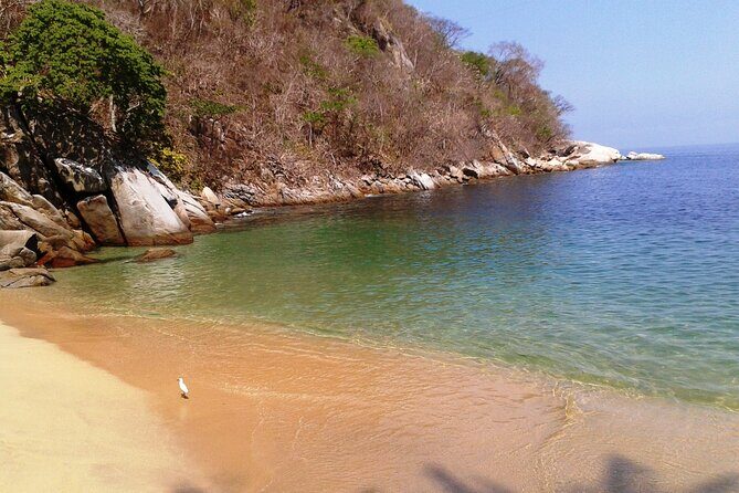 Private Snorkeling Adventure: Los Arcos & Colomitos Beach - Playa Colomitos: beach time that doesn’t steal your best hours