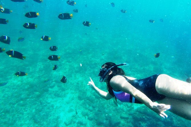 Private Snorkeling Adventure: Los Arcos & Colomitos Beach - From Marina Vallarta check-in to your private boat ride