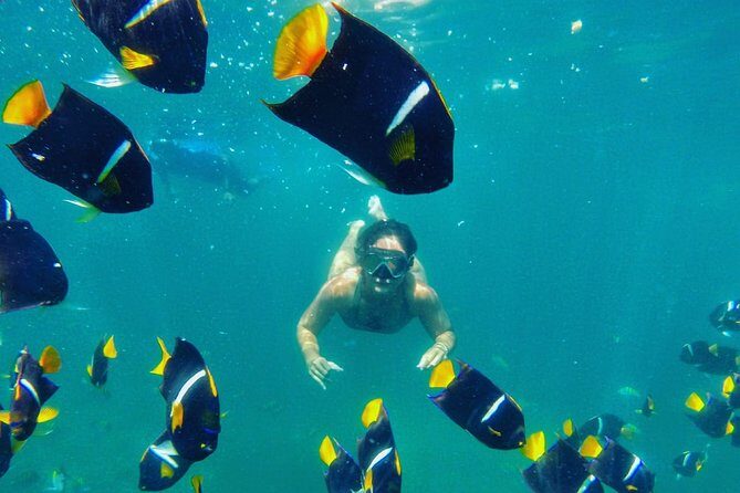 Private Stand Up Paddle Experience in Los Arcos Jalisco - Getting to Mismaloya and Meeting at Xiutla Riders PV