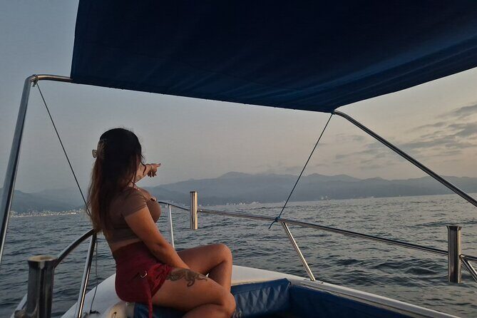 Private Tour 3 Hours of Whale Watching - What you’re actually hunting for: dolphins, fin whales, and turtles