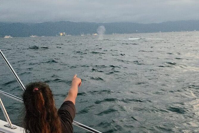Private Tour 3 Hours of Whale Watching - Timing, dock hassles, and how to avoid the common headaches