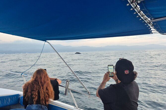 Private Tour 3 Hours of Whale Watching - Wildlife photos: how to make the most of your time