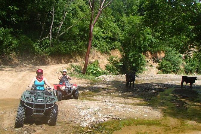 Private Tour: ATV SIERRA MADRE rivers with Tequila Tasting - Logistics that matter: no hotel pickup, but Uber is your friend