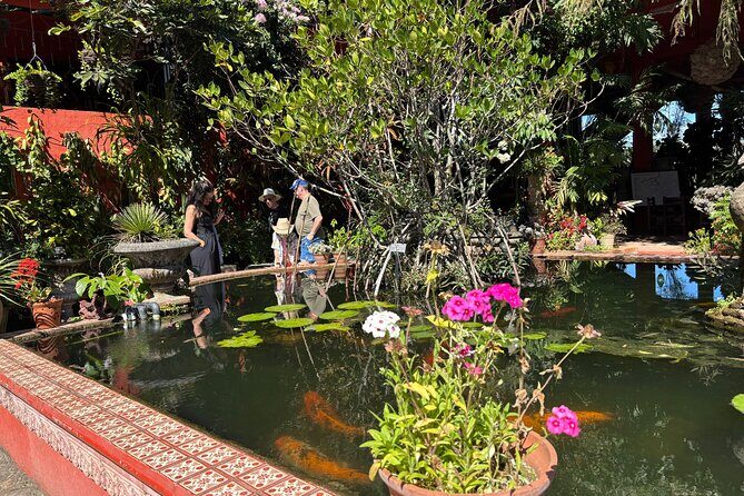 Private Tour: Botanical Garden & Petroglyphs - Jardin Botanico de Vallarta: orchids, birds, and a guide who keeps it clear
