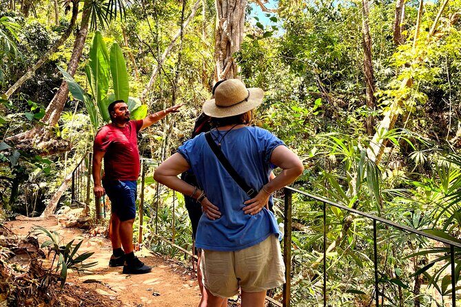 Private Tour: Botanical Garden & Petroglyphs - Price and private-group value: when $310 feels fair