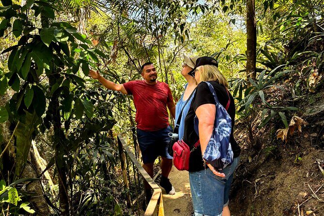 Private Tour: Botanical Garden & Petroglyphs - Who this tour fits best in Puerto Vallarta