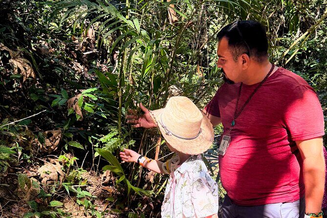 Private Tour: Botanical Garden & Petroglyphs - Should you book this Botanical Garden & Petroglyph private tour?