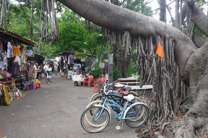 Private Tour in El Malecon Boardwalk Bike Ride - Stop 3: Isla Cuale’s Green Pocket, Market Energy, and the Elizabeth Taylor Connection