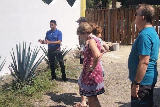 Private Tour, Sayulita & San Pancho - What’s Included vs Not: Plan Your Wallet Accordingly