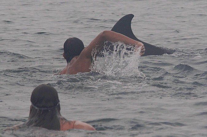 Private Wild Dolphin Encounter in Puerto Vallarta - What the Tour Includes (and What You’ll Pay Extra For)