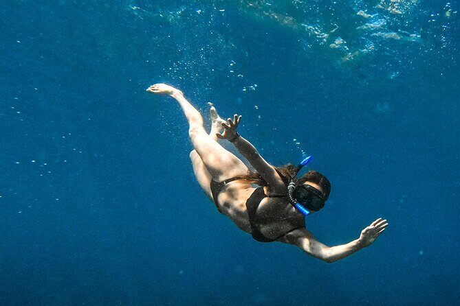 Private Yacht Charter ChicaFUN 4 All Inclusive - Whale-Watching Chances Without the Full-Day Grind