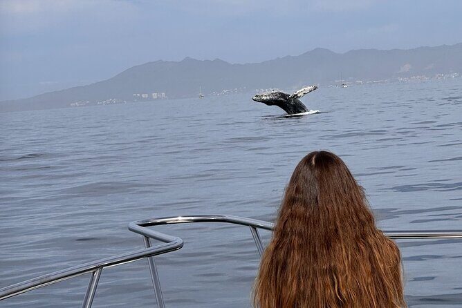 Private Yacht, Sightseeing, Snorkeling and Private beaches - What’s On Board: Restroom, Snorkel Gear, Fishing Rods, Kayak, and Comfort