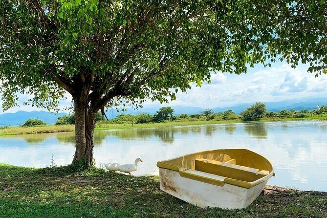 Pueblos Cultural Tour - Guides and drivers: why the best day feels effortless