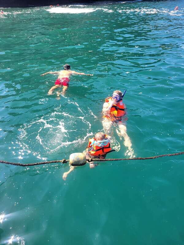 Puerto Vallarta: 3-Hour Whale Watching and Snorkeling - Key things to know before you go