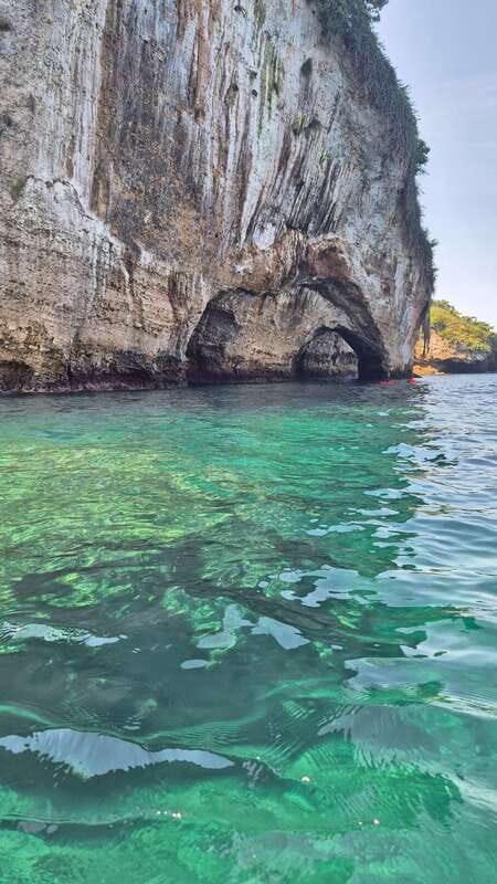 Puerto Vallarta: 3-Hour Whale Watching and Snorkeling - The garden stroll and local flavor: a bonus, if the day allows