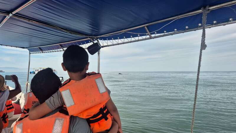 Puerto Vallarta: 3-Hour Whale Watching and Snorkeling - Safety, life jackets, and who should skip this tour