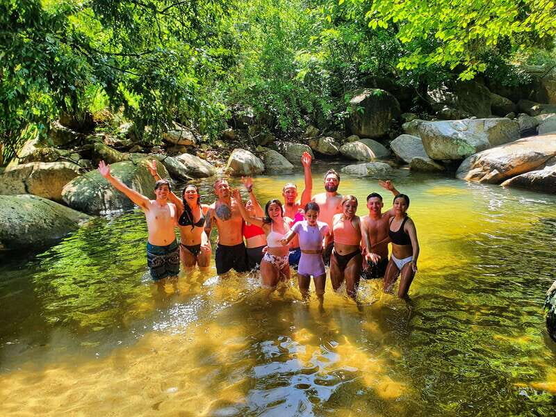 Puerto Vallarta: 4-Hour Jungle Hike and Waterfall Swim - Walking through the tropical forest: what you’ll notice besides trees