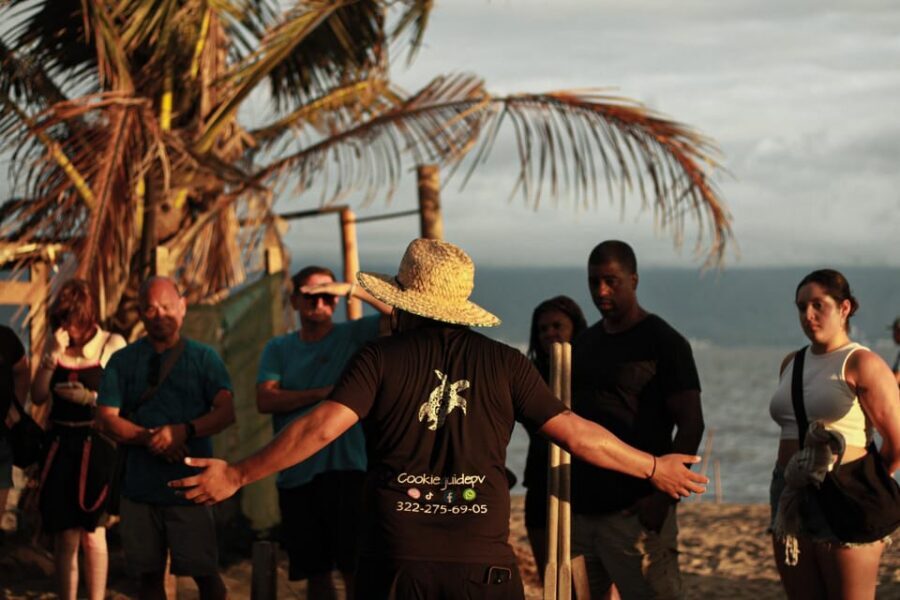 Puerto Vallarta: Baby Turtle Release in Conservation Area - The 15-minute walk: your warm-up to the conservation area
