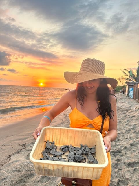 Puerto Vallarta: Baby Turtle Release in Conservation Area - Wildlife viewing time: spotting what conservation protects