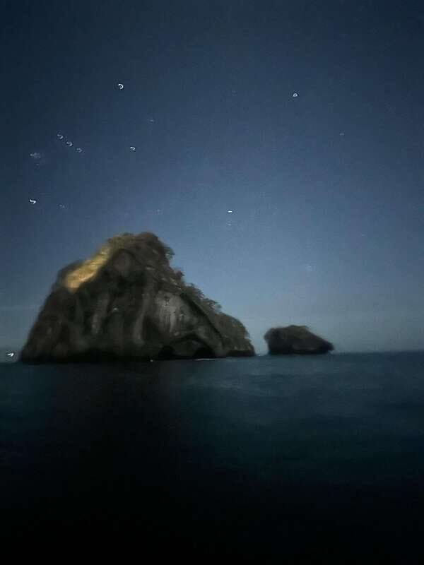 Puerto Vallarta: Bioluminescence in Los Arcos Marine Park - Key things to know before you go to Los Arcos at night