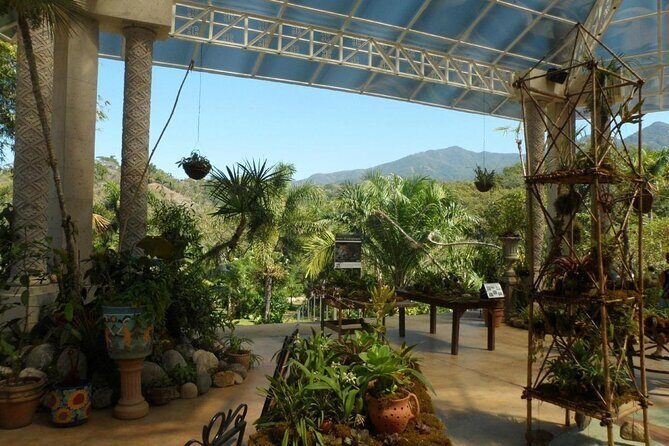 Puerto Vallarta Botanical Gardens Hiking Tour - Key things that make this tour worth your time