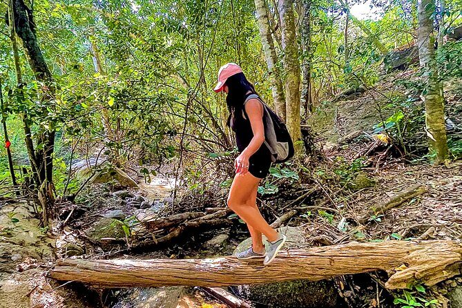 Puerto Vallarta Botanical Gardens Hiking Tour - Jardin Botanico de Vallarta: where orchids and plant talk drive the hike