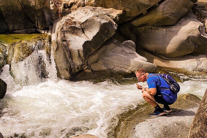 Puerto Vallarta Botanical Gardens Hiking Tour - Animal Sanctuary time: rescued wildlife and real behavior moments