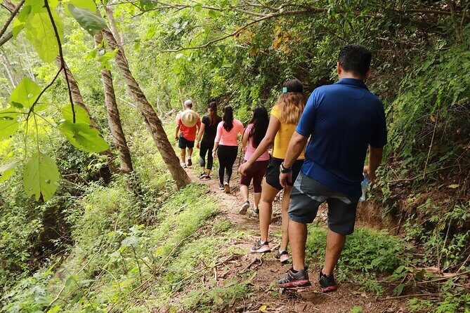 Puerto Vallarta Botanical Gardens Hiking Tour - Price check: what $102 really buys you