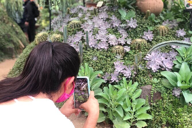 Puerto Vallarta Botanical Gardens Hiking Tour - The Horcones River hike: how “moderate fitness” plays out
