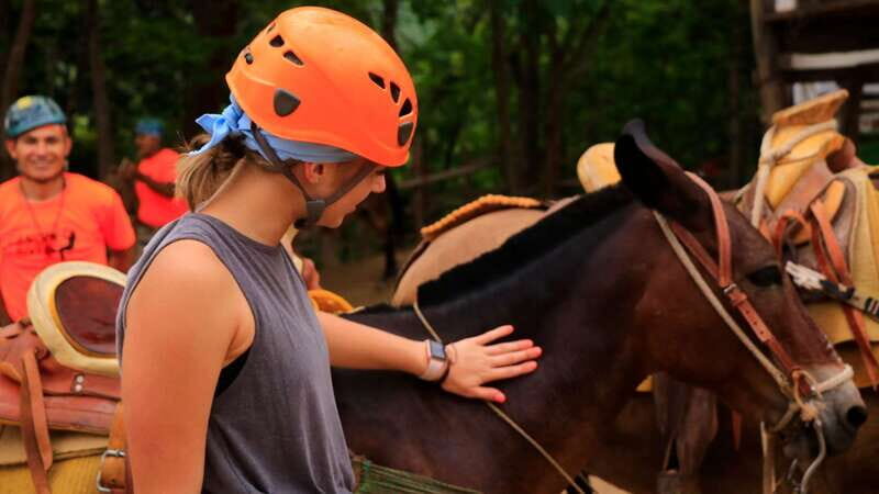 Puerto Vallarta: Canopy River Zip Line Tour with Mule Ride - The Wind, the Height, and Why the Between-Line Walks Matter