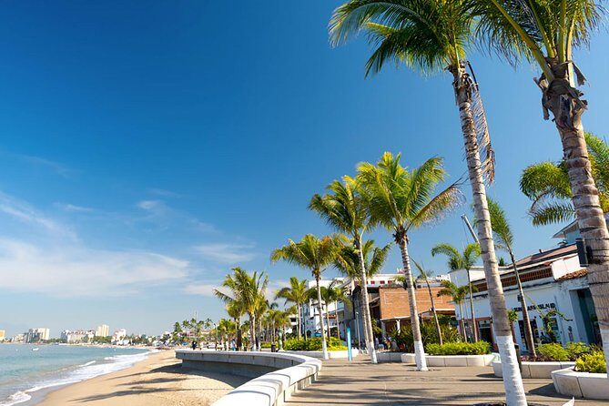 Puerto Vallarta City Tour - Municipal Palace and Guadalupe Church: quick stops with real meaning