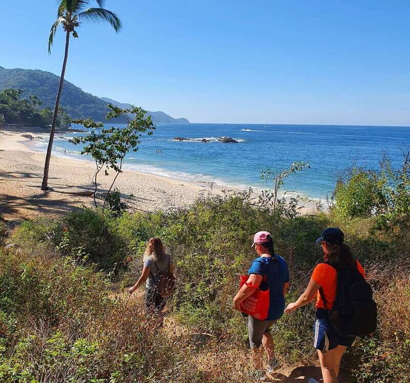 Puerto Vallarta: Full Day Hike to 6 Hidden Beaches & Snorkel - Playa las Ánimas Finale: Seafood Lunch, Last Swim, and Bay Views