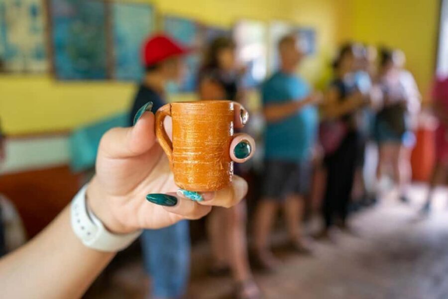 Puerto Vallarta: Guided San Sebastian Tour - How the 6-hour schedule feels in real life