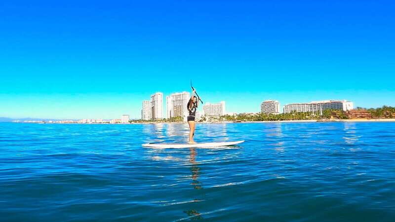 Puerto Vallarta: Guided SUP Board Tour with Digital Photos - Wildlife odds when the bay cooperates