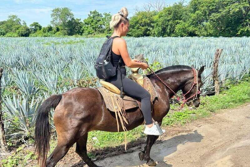 Puerto Vallarta: Horseback Riding, Lunch & Unlimited Drinks - The optional river swim: when to bring a swimsuit