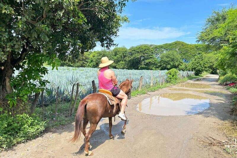 Puerto Vallarta: Horseback Riding, Lunch & Unlimited Drinks - Price and value: what you get for $145 per person